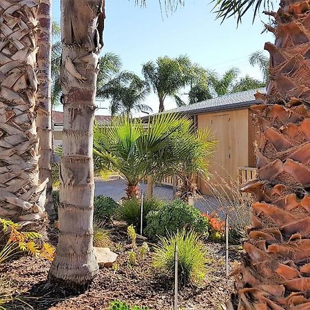 The Courtyard - Garden View Studio Port Pirie Exterior foto